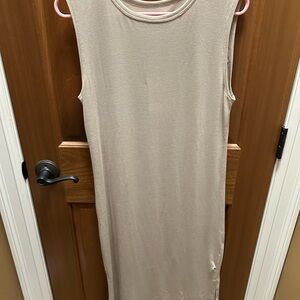 ZYIA Active Tan Dress